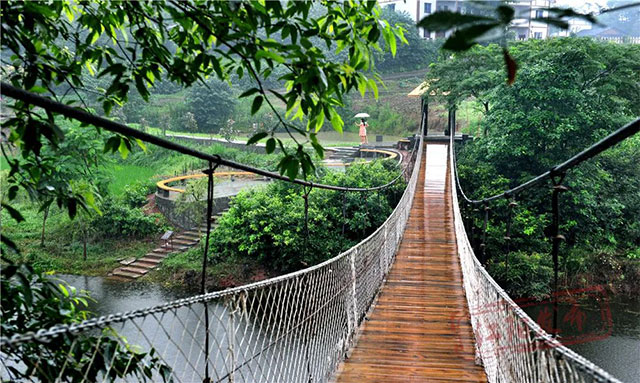 华阳街道:潮流亦“顶流”(图14) 14.jpg