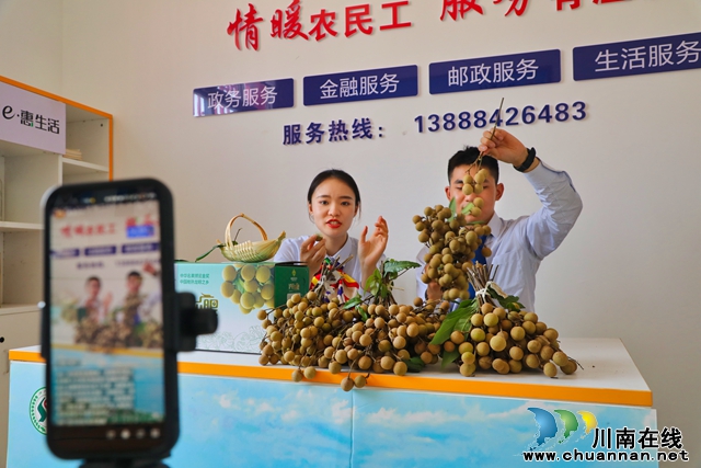 泸县海潮镇农民工综合服务站开展农特产品鲜桂圆直播带货活动.jpg