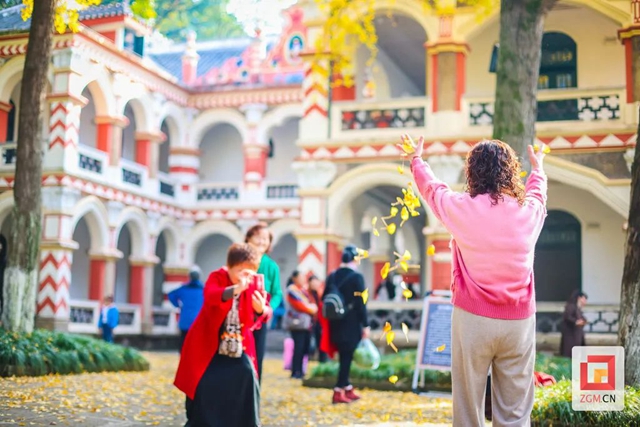 自贡“罗马楼”的银杏黄了(图10) 10.jpg