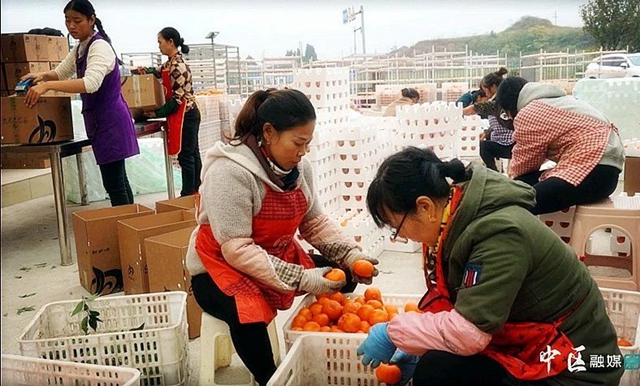 微信图片_20231221095132.jpg