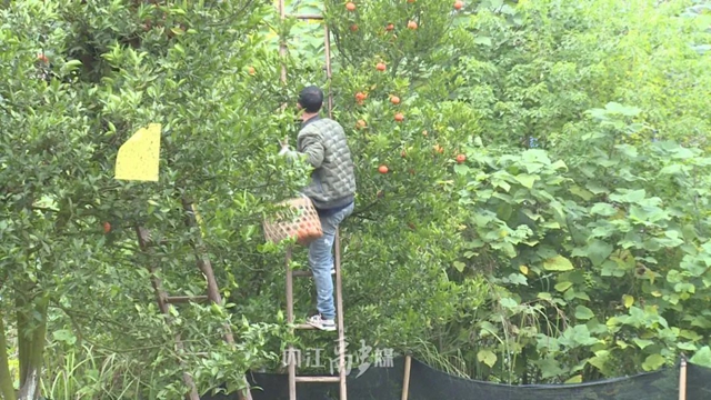 微信图片_20231221095136.jpg