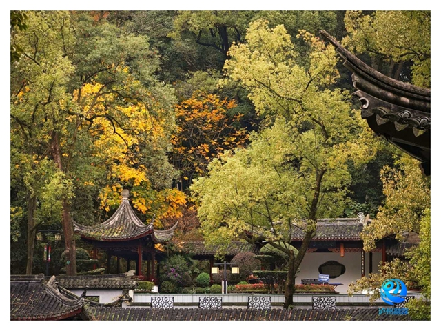 快加入氛围组!泸州要举办元宵游园活动(图2) 微信图片_20231221100027.jpg