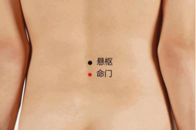 微信图片_20231222095546.png
