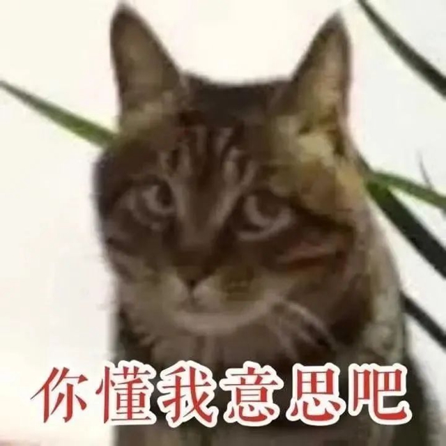 【健康科普】冬至，这些“养生秘籍”请收藏→