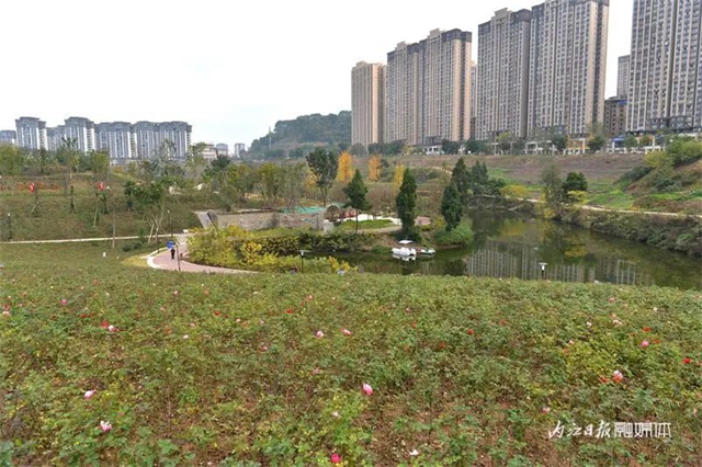微信图片_20231225105934.jpg