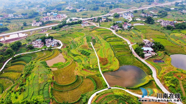 龙马潭:坚持在高质量发展中稳步推进共同富裕(图3) 高标准农田项目.jpg