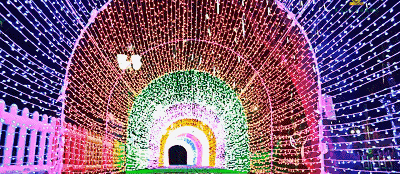 十大工作亮点,回顾泸州市文化广播电视和旅游局的2023(图5) 5.gif