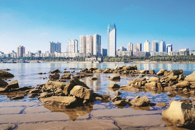 十大工作亮点,回顾泸州市文化广播电视和旅游局的2023(图8) 7.jpg