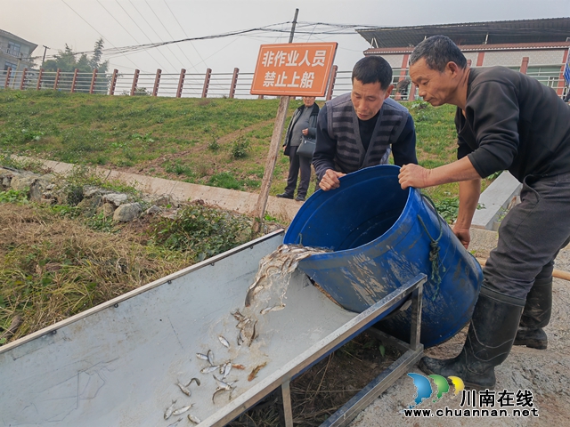 增殖放流现场（曾佐然摄）.jpg