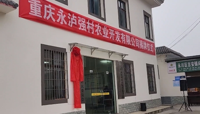 全国首个！泸州牵手永川，开了个新公司