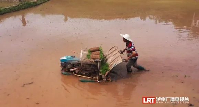 全国首个!泸州牵手永川,开了个新公司(图3) 永川3.jpg