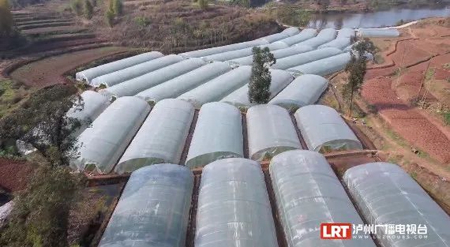 全国首个!泸州牵手永川,开了个新公司(图5) 永川5.jpg