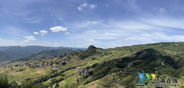昔日“野鸡坡” 今日“金凤凰”丨“千万工程”在四川省古蔺县凤凰村的生动实践(图5) 凤凰梯田全景.jpg