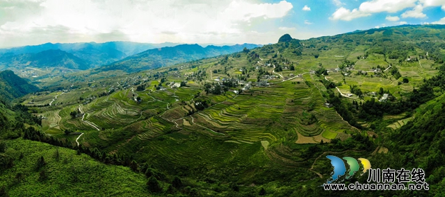 昔日“野鸡坡” 今日“金凤凰”丨“千万工程”在四川省古蔺县凤凰村的生动实践(图6) 刘汉中摄 (2).jpg