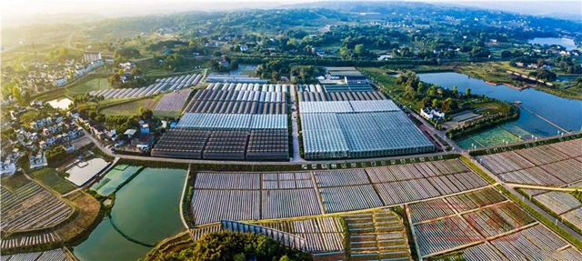 赞！江阳区获评“2023年全省农经工作典型区”