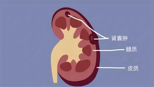 全国首批｜西南医大附院获“脊柱关节炎诊疗协作单位”授牌
