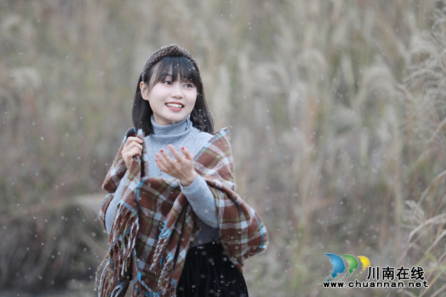 泸县：“芭茅”深处寻“芳华”