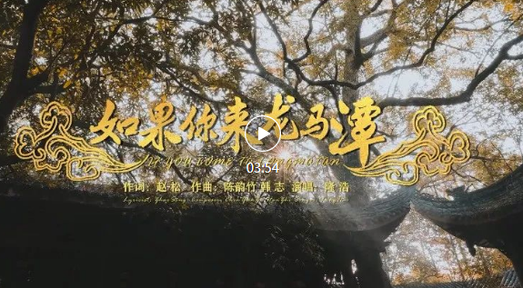鼓掌！《如果你来龙马潭》获奖啦