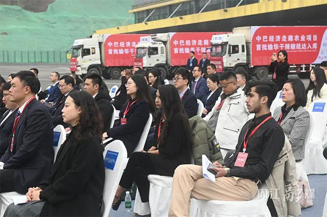 驶入“中巴经济走廊”!巴基斯坦182吨干辣椒已入库内江——(图3) 3.jpg