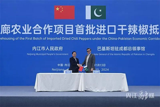 驶入“中巴经济走廊”!巴基斯坦182吨干辣椒已入库内江——(图5) 5.jpg