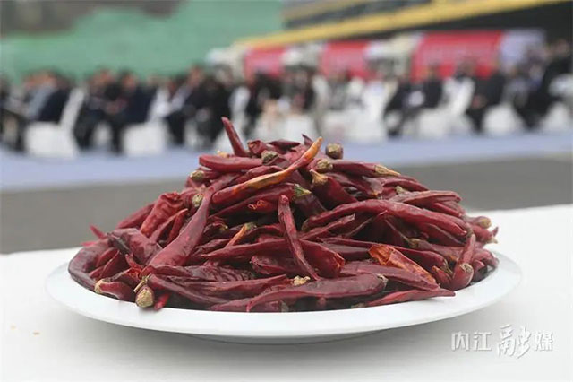 驶入“中巴经济走廊”!巴基斯坦182吨干辣椒已入库内江——(图7) 7.jpg