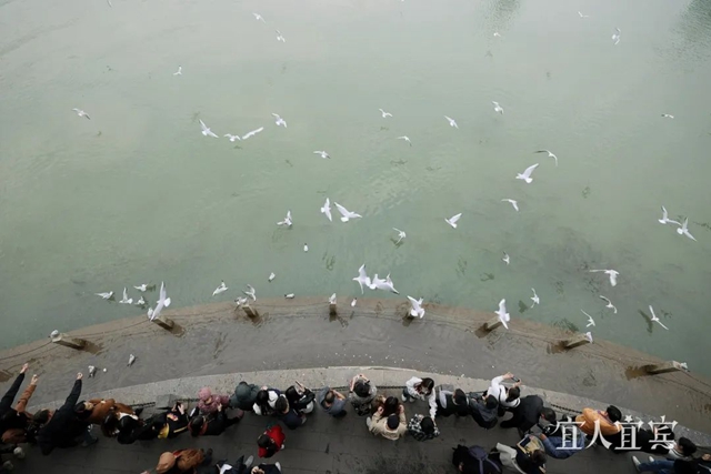 幸福宜宾:经济向上 民生向暖(图6) 6.jpg