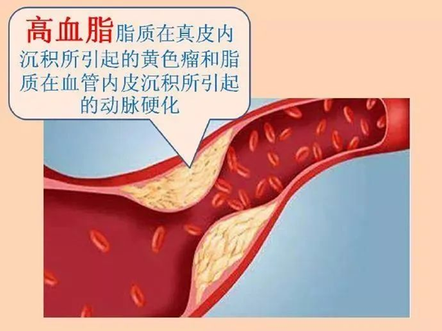 微信图片_20240116090404.png