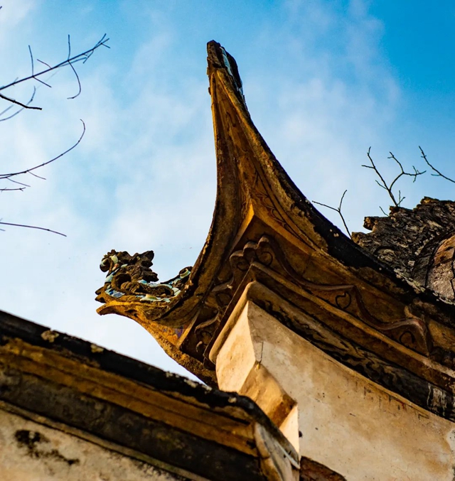 一百多年历史的彩龙有多震撼？来泸县，你就知道了