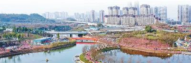 实力吸睛!人民日报、央视纷纷聚焦泸州!(图3) 微信图片_20240116114309.jpg