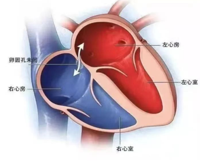 微信图片_20240118091201.png