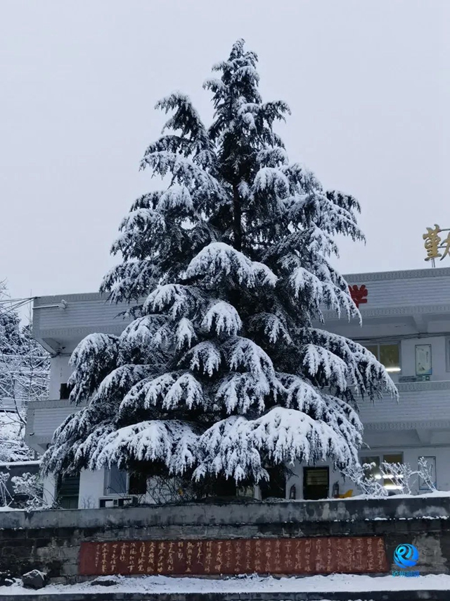 微信图片_20240122112915.jpg