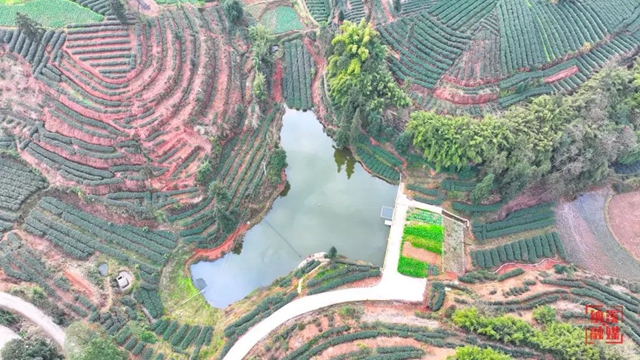 纳溪：后扶政策托起移民幸福生活