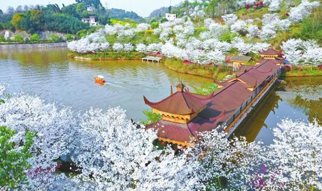 泸州:潮起长江畔“泸”力向未来(图5) 5.jpg