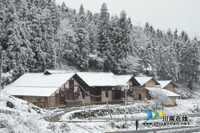 2024古蔺初雪如约而至,冬日美景如画(图2) 雪2.jpg