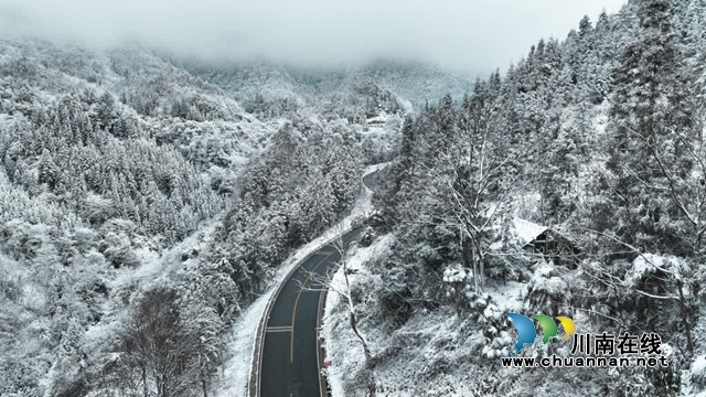 2024古蔺初雪如约而至,冬日美景如画(图3) 雪3.jpg
