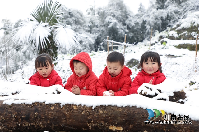 2024古蔺初雪如约而至,冬日美景如画(图6) 雪5.jpg