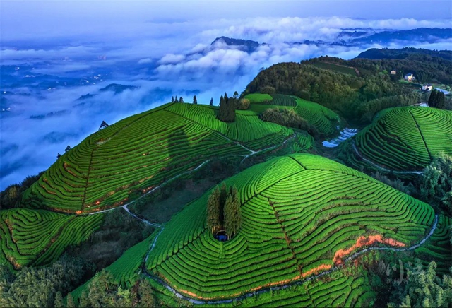 泸州这5个全省百强中心镇如何增强磁力？