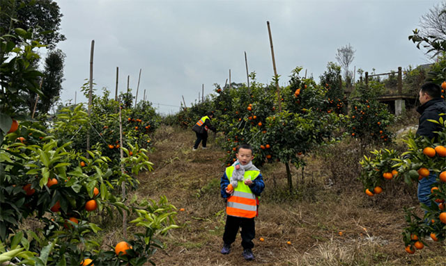 @泸州家长,寒假带小朋友到这里来耍,有趣又有意义(图2) 2.jpg