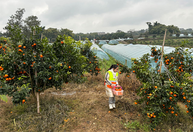 @泸州家长,寒假带小朋友到这里来耍,有趣又有意义(图3) 3.jpg