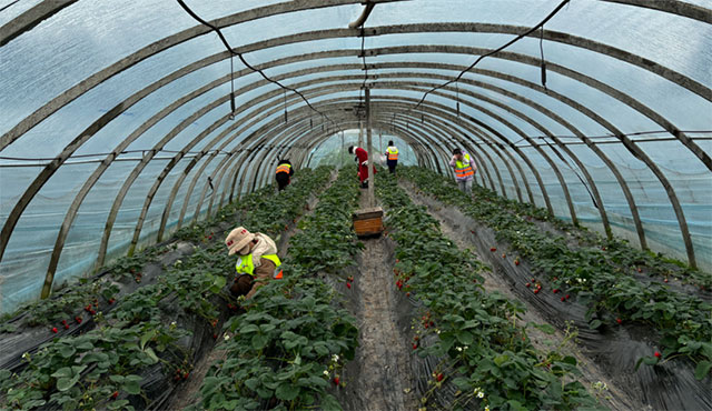 @泸州家长,寒假带小朋友到这里来耍,有趣又有意义(图4) 4.jpg