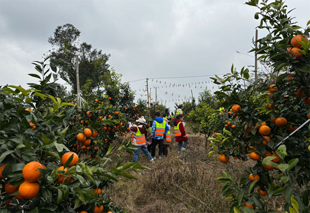 @泸州家长,寒假带小朋友到这里来耍,有趣又有意义(图5) 5.jpg