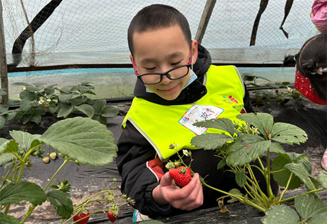 @泸州家长,寒假带小朋友到这里来耍,有趣又有意义(图7) 7.jpg