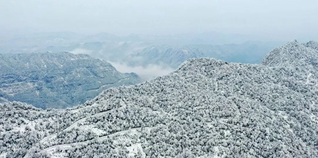 现在去罗汉林还能看到雪吗?能!看最新航拍→(图3) 3.jpg