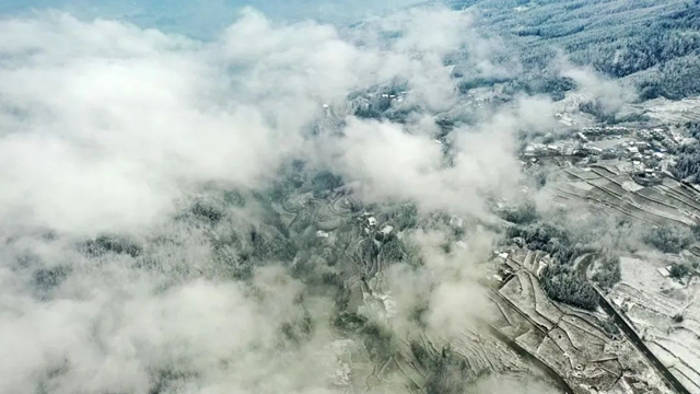 现在去罗汉林还能看到雪吗?能!看最新航拍→(图2) 2.jpg