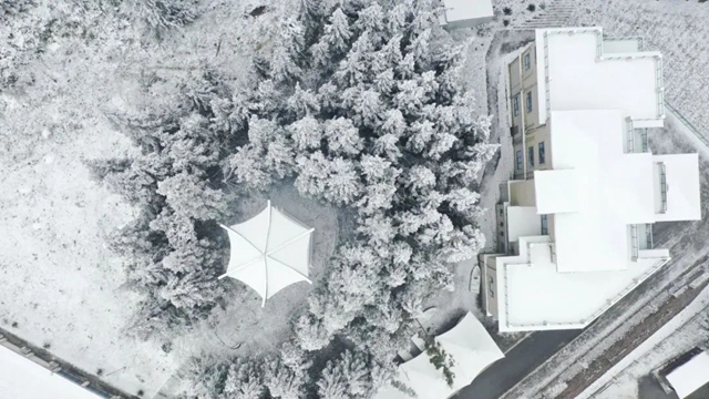 现在去罗汉林还能看到雪吗?能!看最新航拍→(图6) 6.jpg