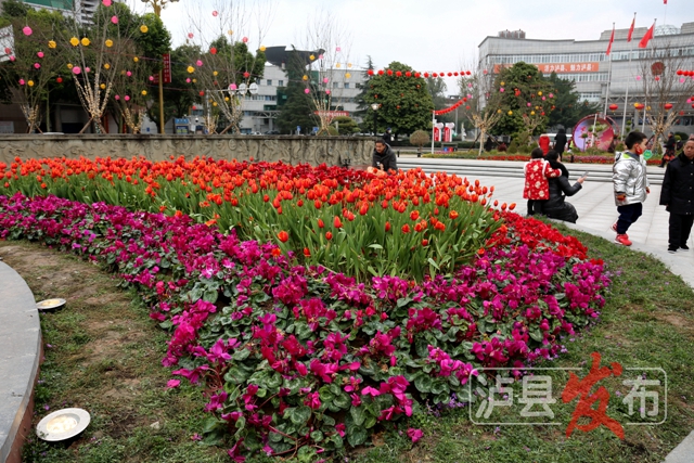 年味“气氛组”上线!泸县这里的“灯光秀”陪您度新春(图1) 微信图片_20240130105522.jpg