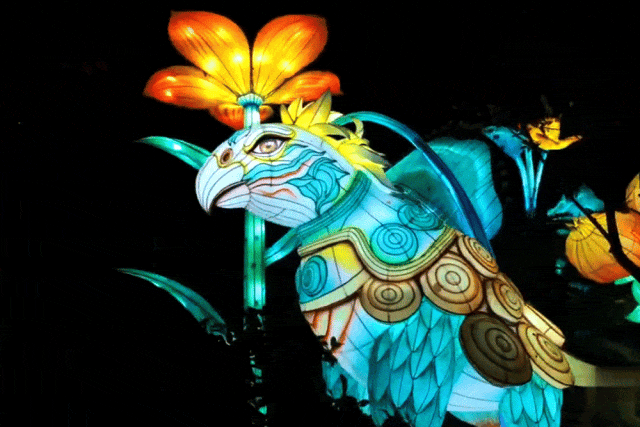 山海经主题灯会+铁花秀+精彩演出!泸州这个春节灯会太精彩了(图20) 640 (18).gif