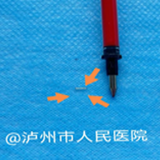 微信图片_20240205091524.png