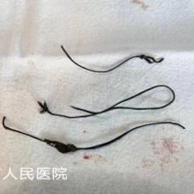 微信图片_20240205091554.jpg