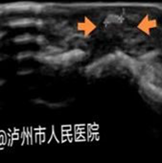 微信图片_20240205091559.jpg